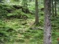 norvege 09